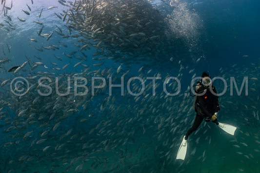 scuba diver with Cabo Pulmo jack tornado under sunny sky