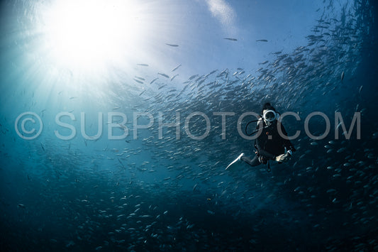 scuba diver with Cabo Pulmo jack tornado under sunny sky