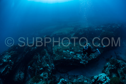 scuba diver over Cabo Pulmo reef in Baja California Mexico