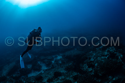 scuba diver over Cabo Pulmo reef in Baja California Mexico