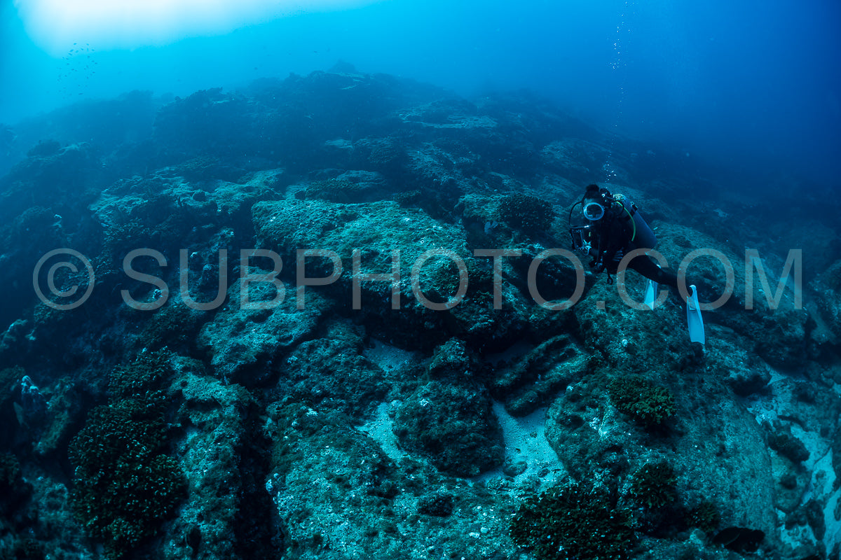 scuba diver over Cabo Pulmo reef in Baja California Mexico