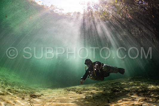 cave diver instructor leading a group of divers in a mexican cenote underwater