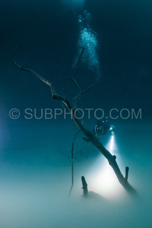 cave diver instructor leading a group of divers in a mexican cenote underwater
