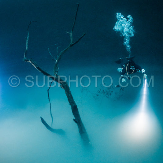 cave diver instructor leading a group of divers in a mexican cenote underwater