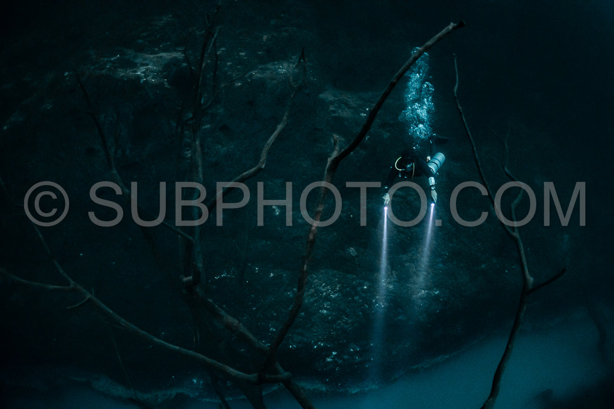 Photo de instructeur de plongée spéléo dirigeant un groupe de plongeurs dans un cenote mexicain sous l'eau