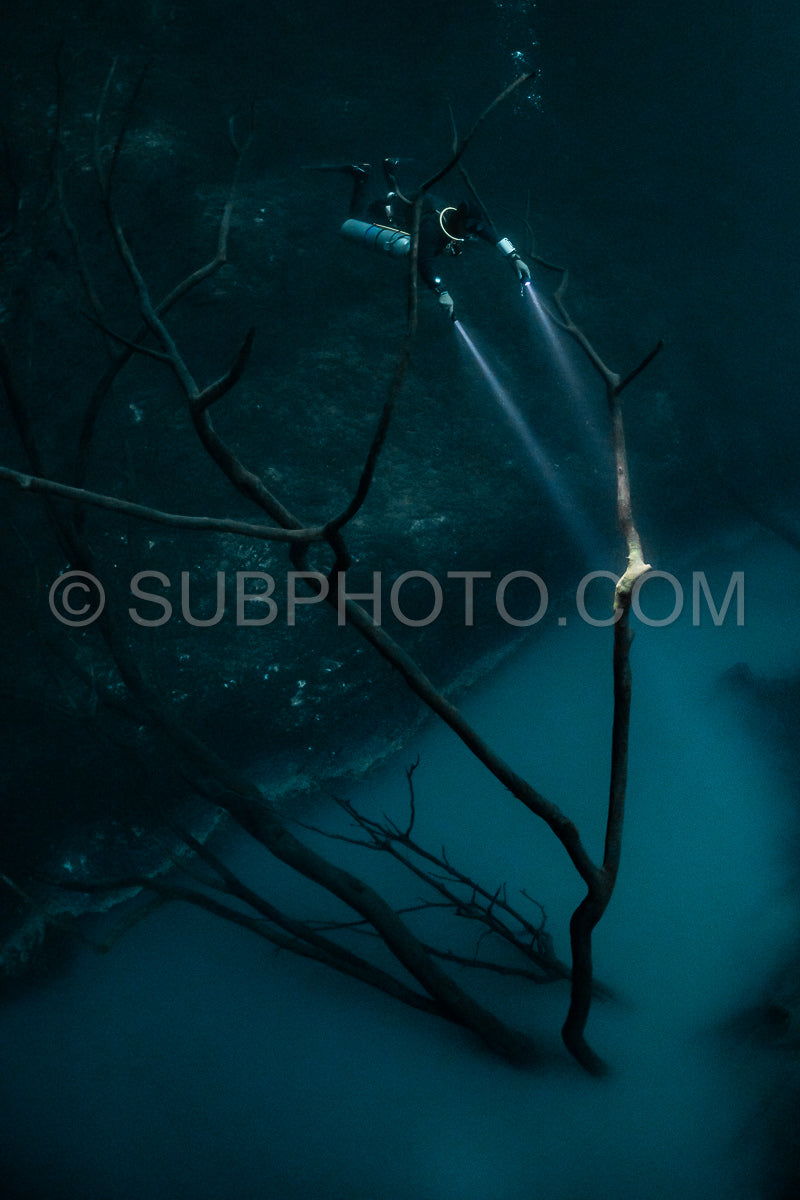 cave diver instructor leading a group of divers in a mexican cenote underwater
