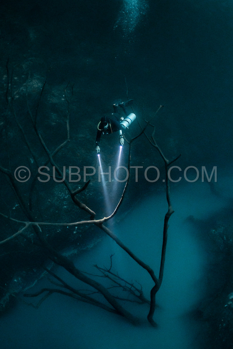 cave diver instructor leading a group of divers in a mexican cenote underwater