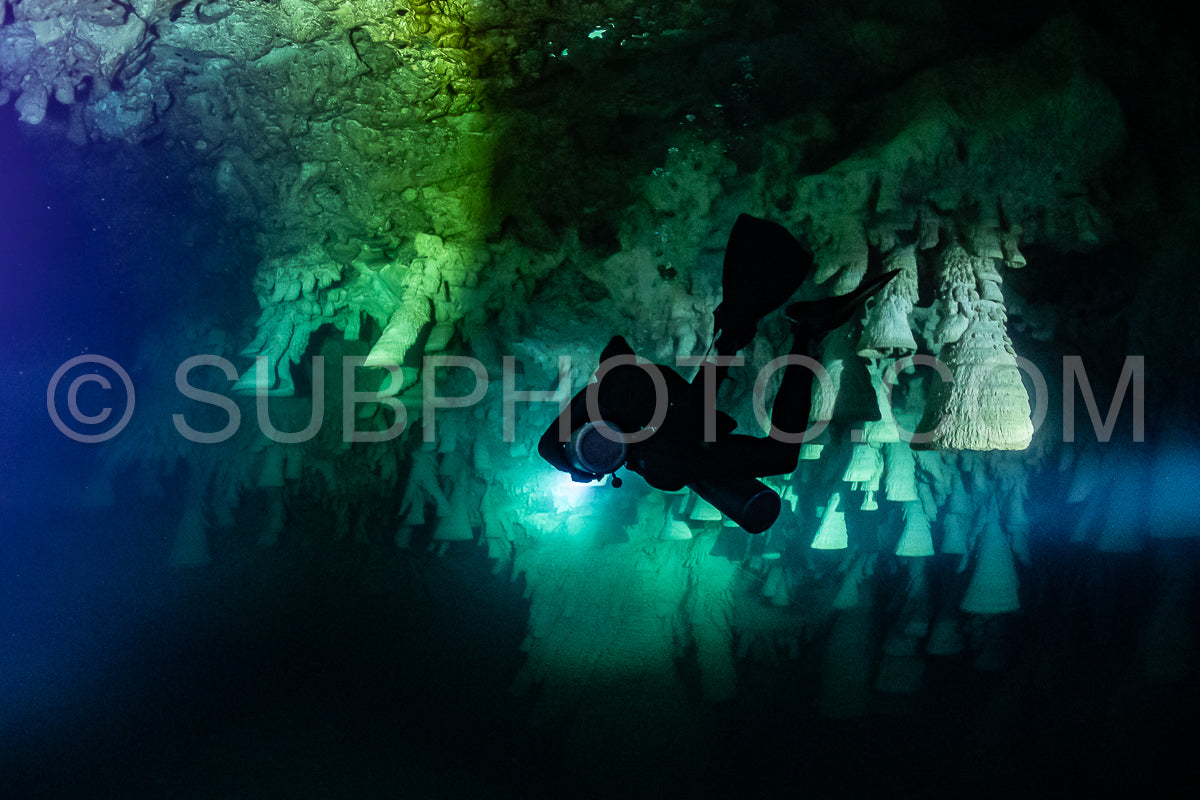Photo de instructeur de plongée spéléo dirigeant un groupe de plongeurs dans un cenote mexicain sous l'eau