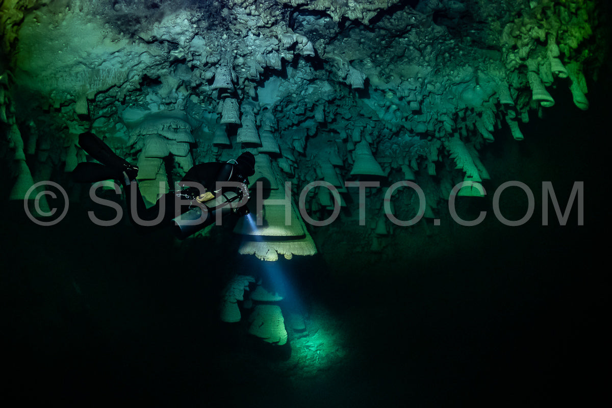 Photo de instructeur de plongée spéléo dirigeant un groupe de plongeurs dans un cenote mexicain sous l'eau
