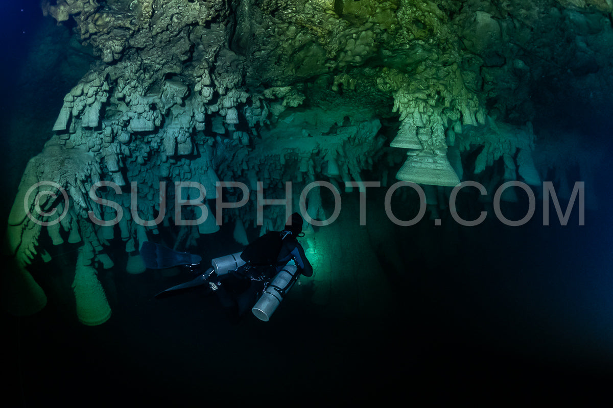 Photo de instructeur de plongée spéléo dirigeant un groupe de plongeurs dans un cenote mexicain sous l'eau