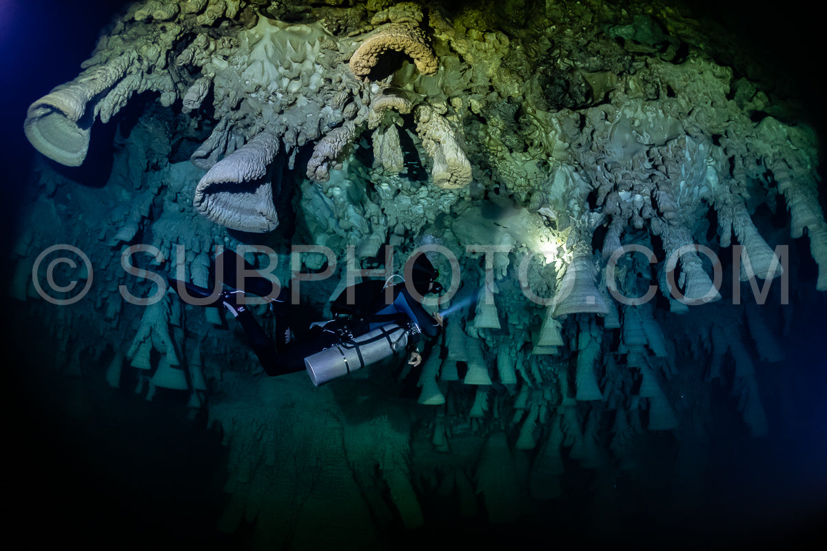 cave diver instructor leading a group of divers in a mexican cenote underwater