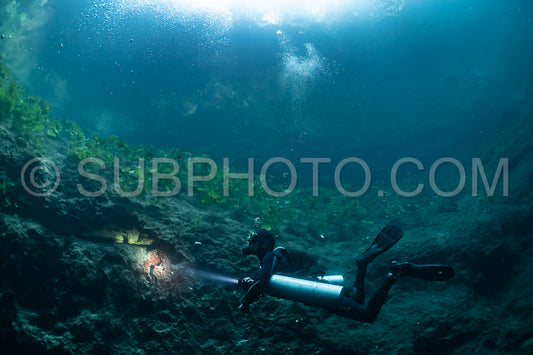 Photo de instructeur de plongée spéléo dirigeant un groupe de plongeurs dans un cenote mexicain sous l'eau