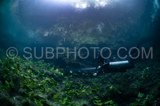 Photo de instructeur de plongée spéléo dirigeant un groupe de plongeurs dans un cenote mexicain sous l'eau
