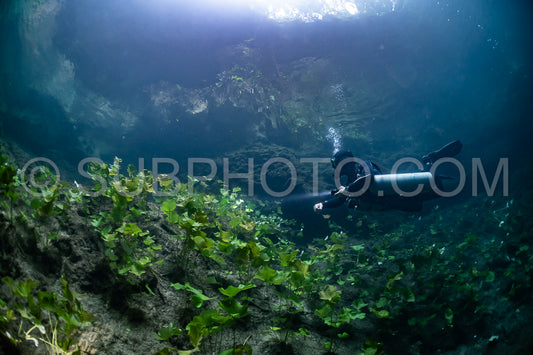 Photo de instructeur de plongée spéléo dirigeant un groupe de plongeurs dans un cenote mexicain sous l'eau