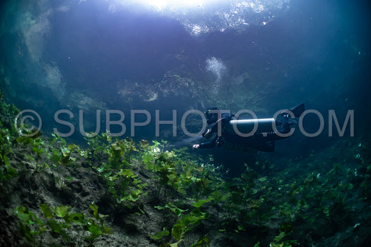 Photo de instructeur de plongée spéléo dirigeant un groupe de plongeurs dans un cenote mexicain sous l'eau