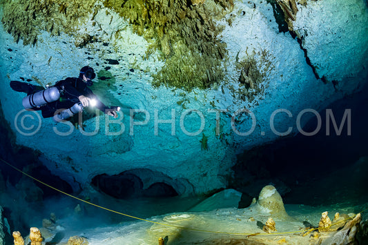 cave diver instructor leading a group of divers in a mexican cenote underwater