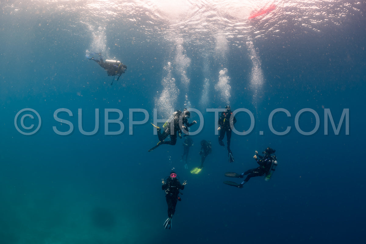Maldivesfriends2022