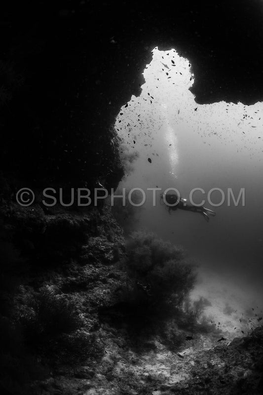 woman diver and a coral reef in black and white