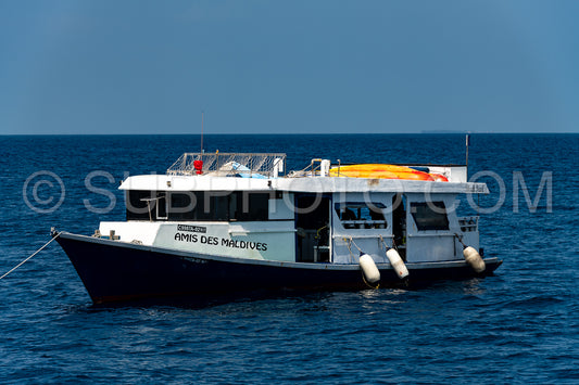 Maldivesfriends2022