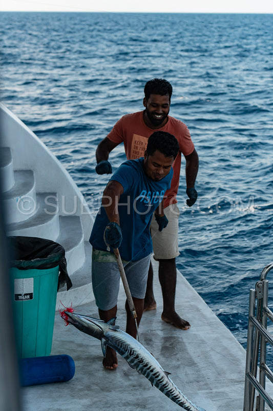 Maldivesfriends2022