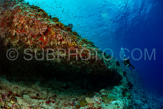 Photo de femme plongeuse visitant un récif corallien