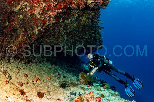 woman diver visiting a coral reef