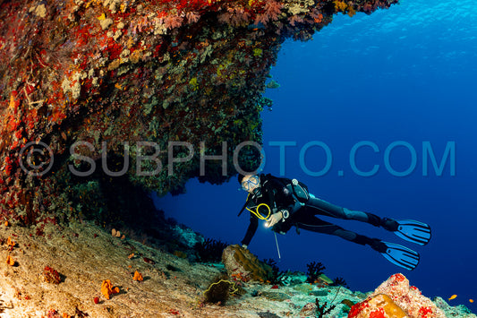 woman diver visiting a coral reef