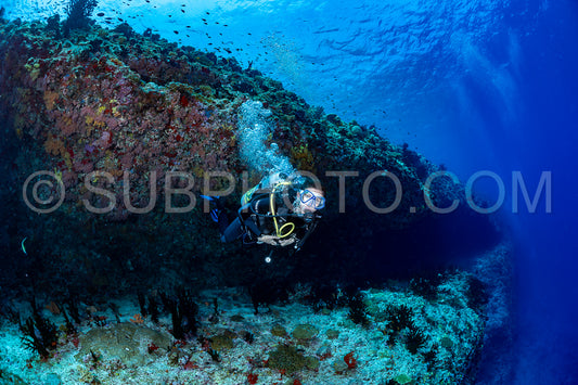 woman diver visiting a coral reef