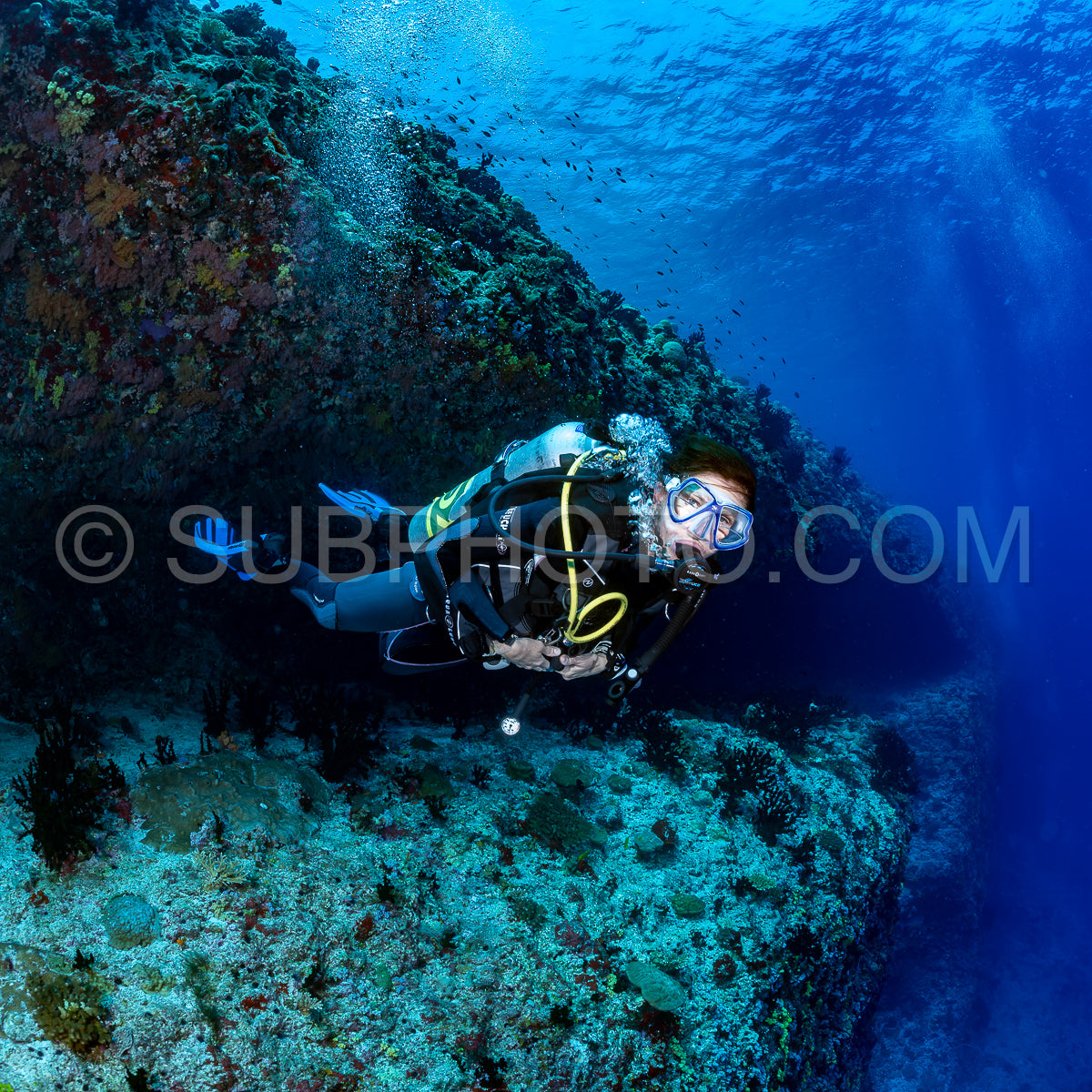 woman diver visiting a coral reef
