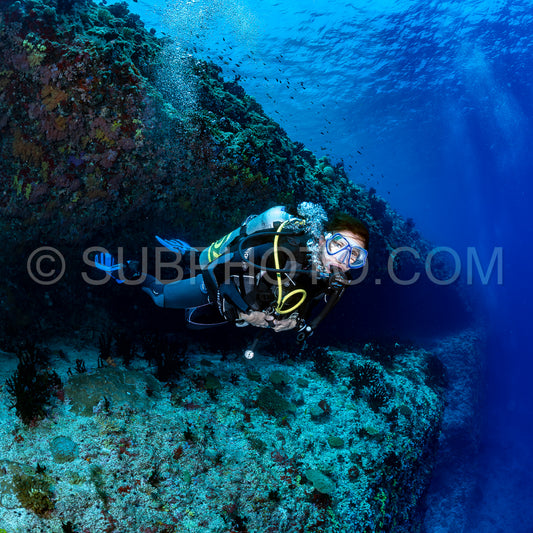 woman diver visiting a coral reef