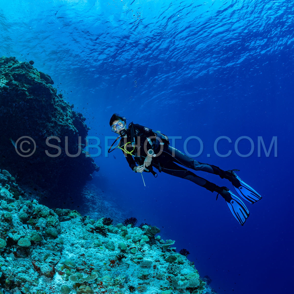 woman diver visiting a coral reef