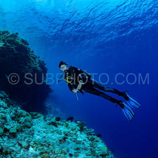 woman diver visiting a coral reef