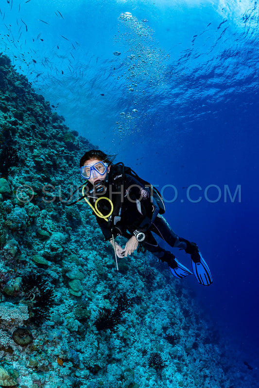 woman diver visiting a coral reef
