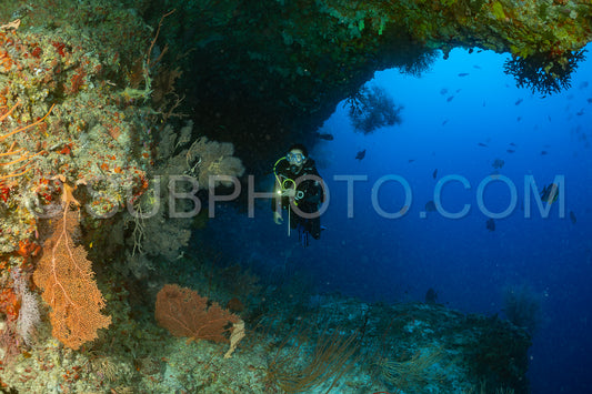 woman diver visiting a coral reef