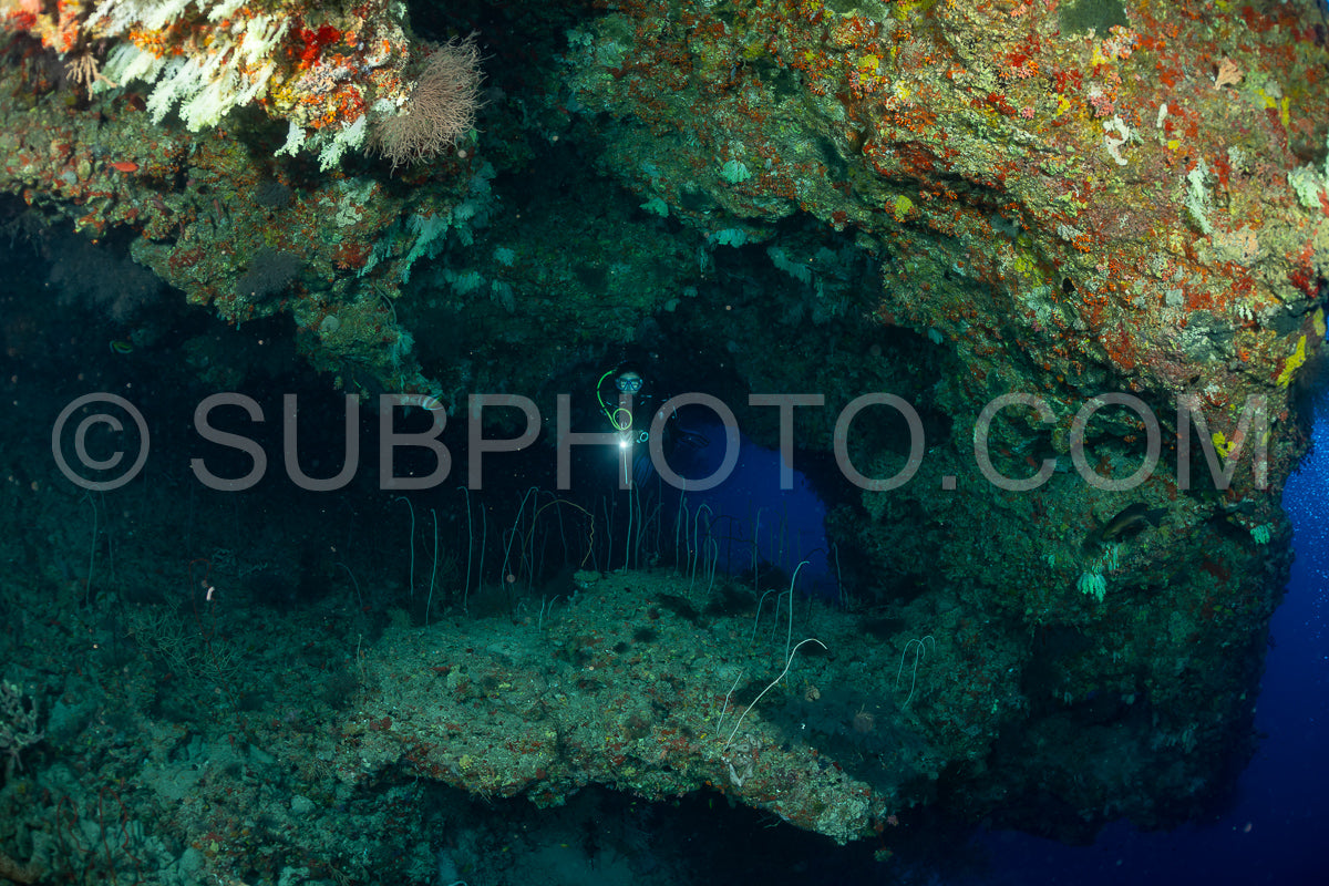 woman diver visiting a coral reef