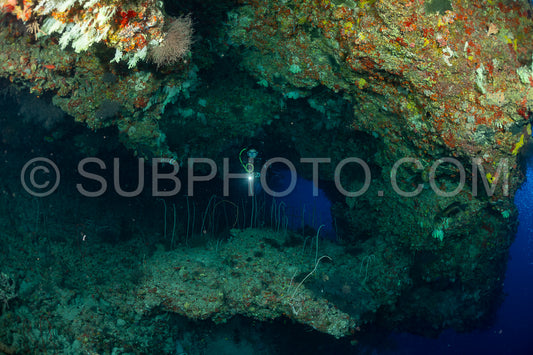 woman diver visiting a coral reef