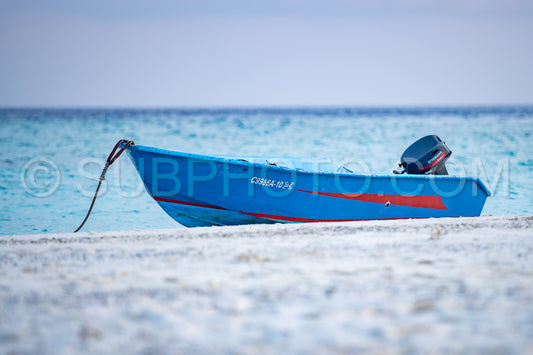 Maldivesfriends2022