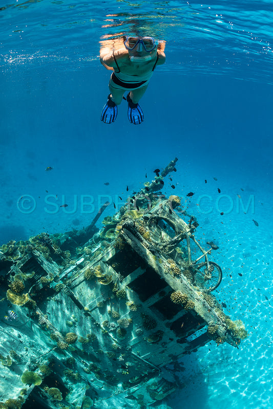 diver and wreck in the Maldives