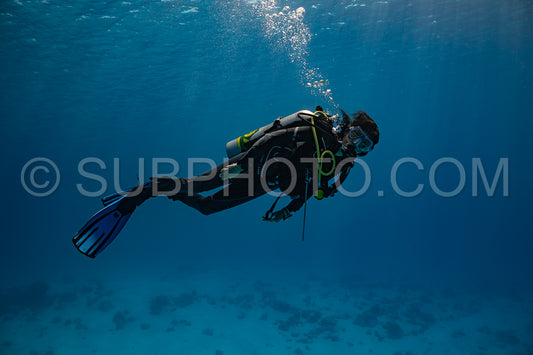 woman diver visiting a coral reef