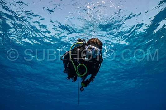 woman diver visiting a coral reef