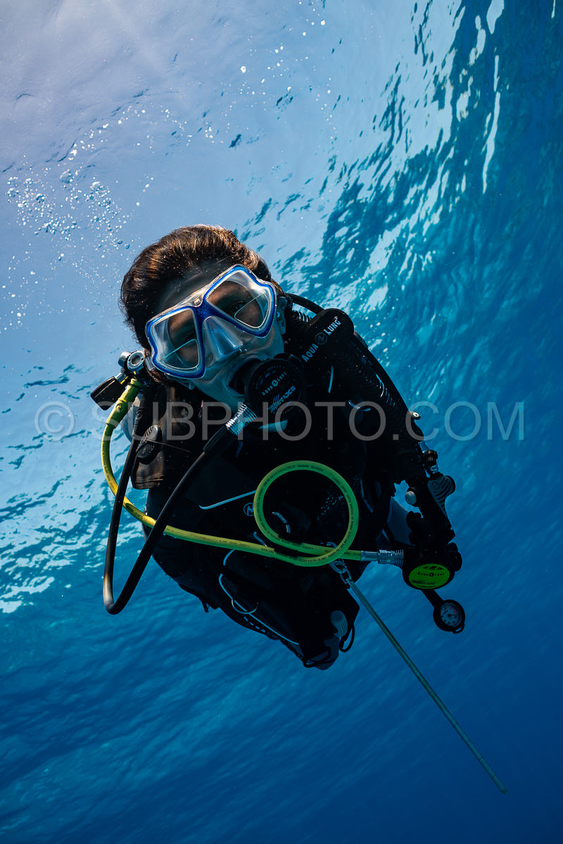 woman diver visiting a coral reef