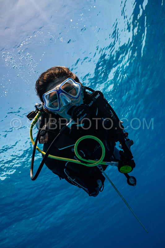 woman diver visiting a coral reef
