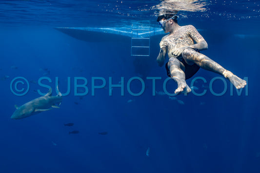 snorkeler swimming with nurse shark in the Maldives