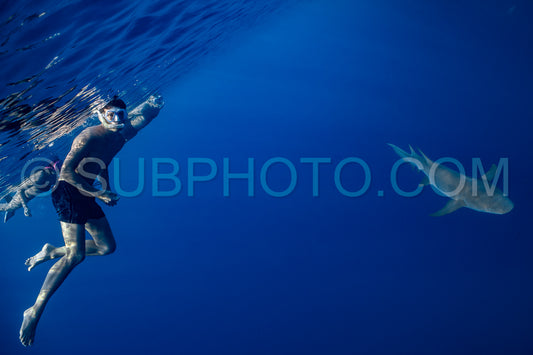snorkeler swimming with nurse shark in the Maldives
