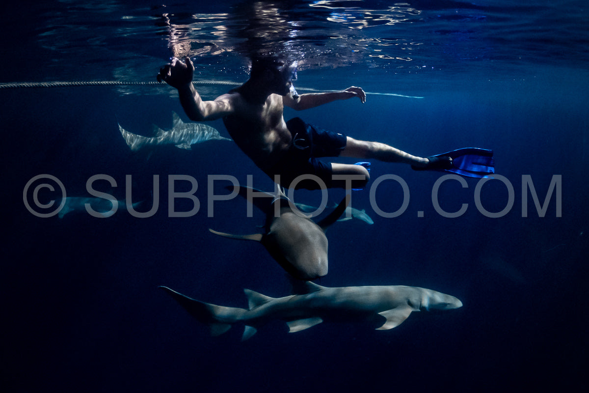 snorkeler swimming with nurse shark at night in the Maldives
