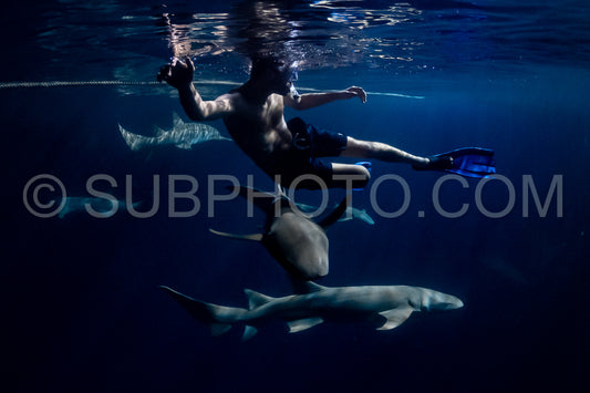 snorkeler swimming with nurse shark at night in the Maldives