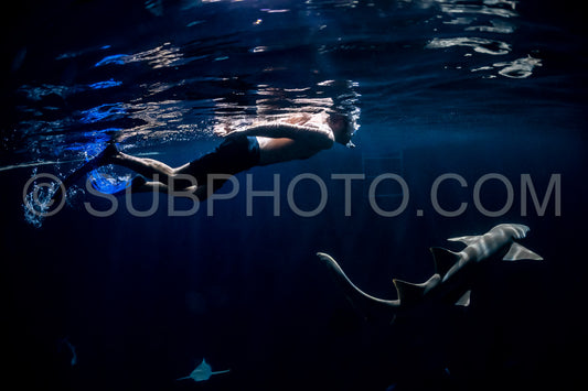 snorkeler swimming with nurse shark at night in the Maldives