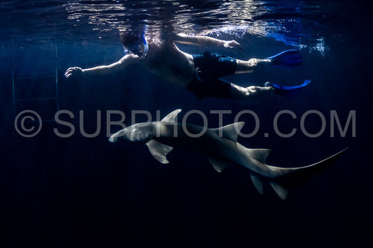 snorkeler swimming with nurse shark at night in the Maldives