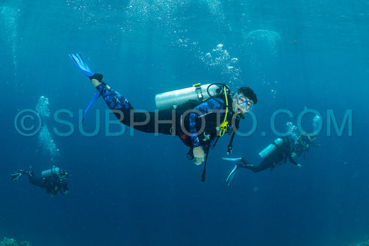 Maldivesfriends2022
