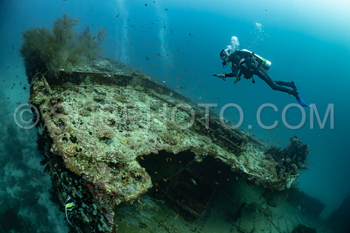 diver visiting a ship wreck in the Maldives
